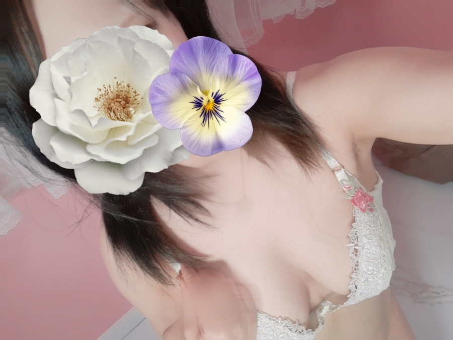 添付画像