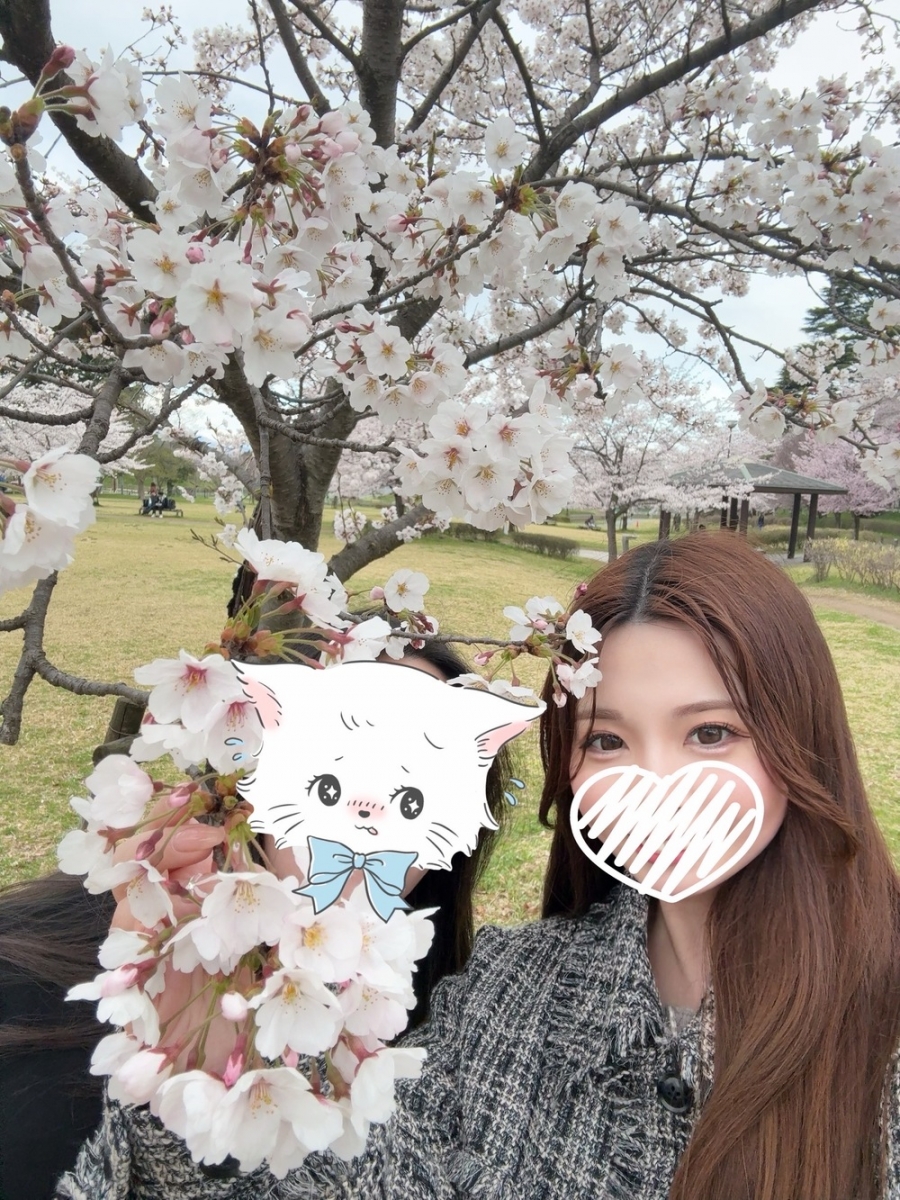 Yt摜