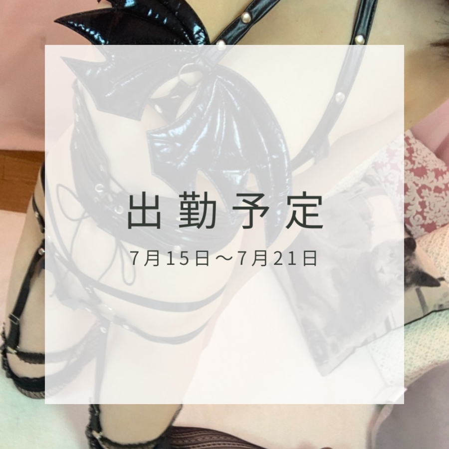添付画像